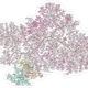 Image for article titled 14 Complex Data Visualizations That Take The Form Of A Tree